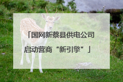国网新蔡县供电公司启动营商“新引擎”